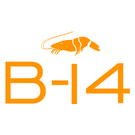 B14